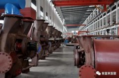 九游在线登陆入口官网-九游(中国)被评为2019年度三水区骨干企业